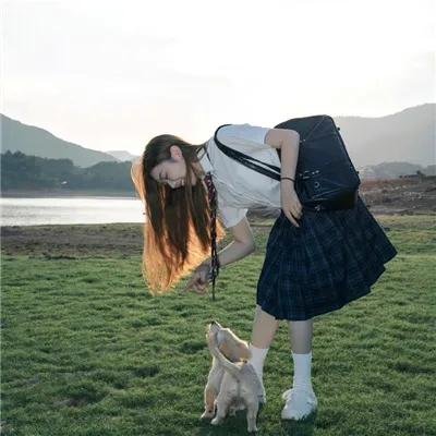碧血蓝勋 海报